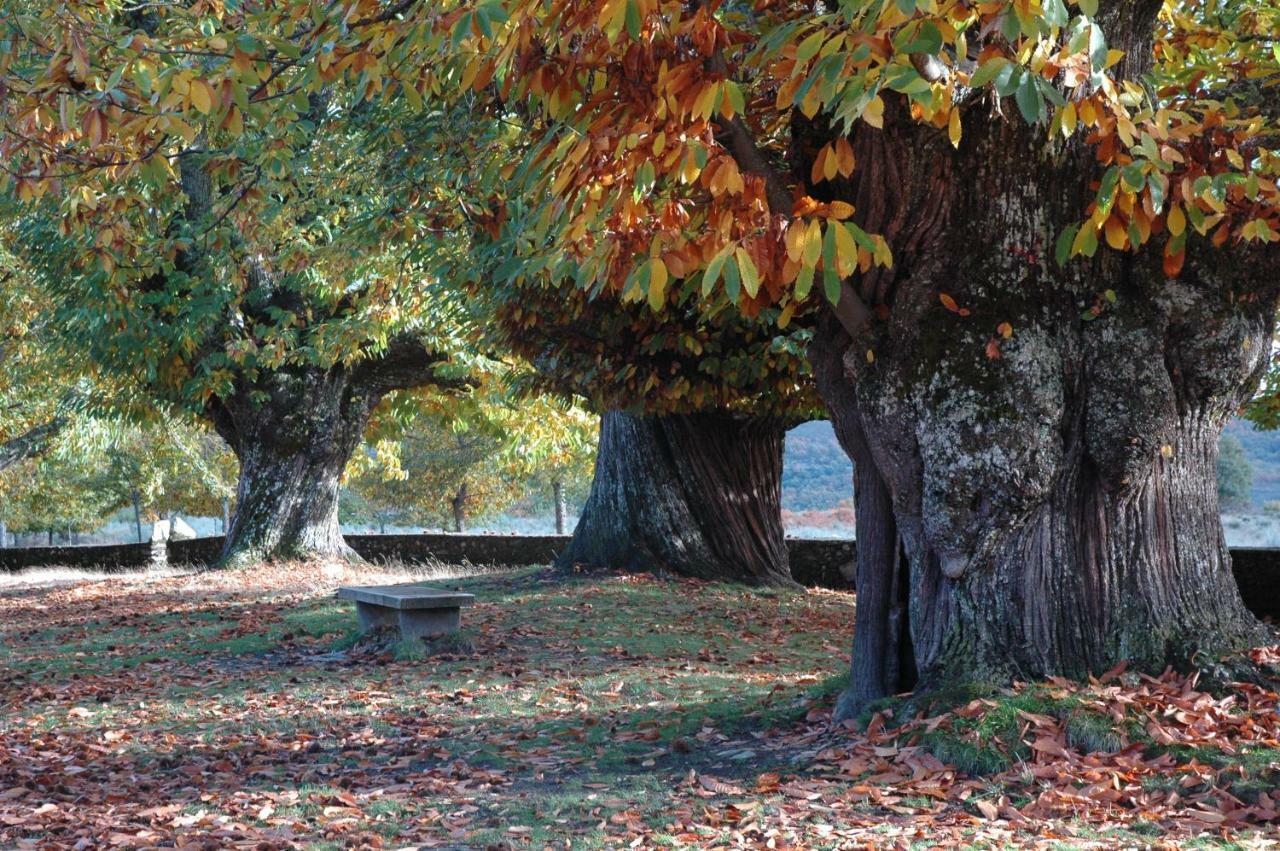 Вілла La Era De Sanabria Villarino de Sanabria Екстер'єр фото